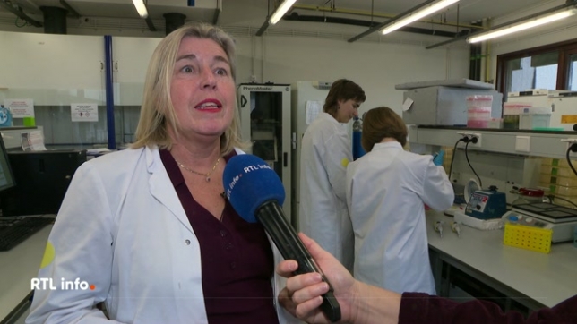 Le roi Philippe a récompensé des chercheurs du FNRS ce matin au Bozar. Des pointures qui se sont distinguées pour contribuer au rayonnement international de la recherche belge. Rencontre avec deux de ces chercheurs qui chacun dans leur domaine, sont à l'origine de découvertes prometteuses.