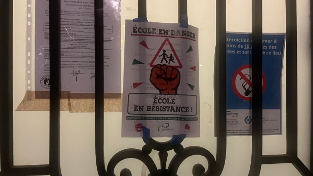 WhatsApp Image 2025-11-25 at 06.37.52.jpeg