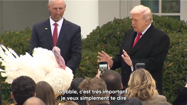 Trump gracie les dindes de Thanksgiving à la Maison Blanche.