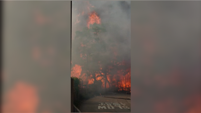 Terrible incendie à Hong Kong : les débuts du brasier ont été filmés