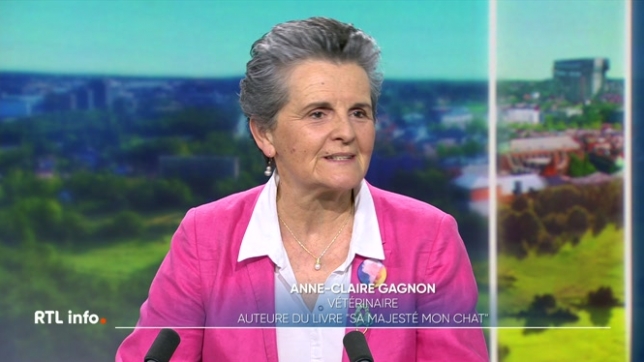 La vétérinaire et comportementaliste féline Anne-Claire Gagnon est invitée du RTL info 13h. pour évoquer la sortie de son livre Sa majesté mon chat. Elle répond à de nombreuses questions que l'on se pose sur cet animal de compagnie.