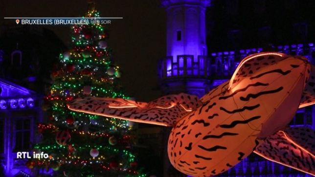 Bruxelles a marqué le lancement des festivités hivernales en lumière ce vendredi. La capitale belge inaugure les illuminations de Noël depuis la Grand-Place, notamment en allumant son grand sapin et des installations lumineuses attirant plusieurs centaines de visiteurs.