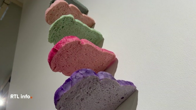 Jusqu'au 11 janvier 2026, la Galerie du beffroi de Namur propose l'exposition Qu'est-ce qu'on va déguster ? qui explore les liens entre art et nourriture, du festin visuel à la réflexion sur nos modes de consommation. Visite guidée en compagnie d'Arnaud Toussaint.