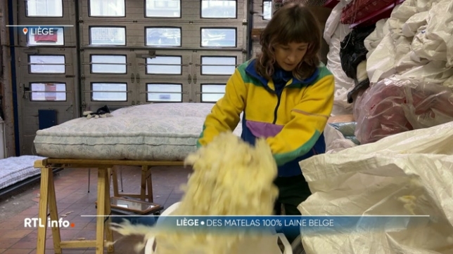 À Liège, une artisane redonne vie à un savoir-faire presque disparu : la fabrication de matelas en laine 100 % belge. Depuis un an, Annick Van den Bossche a créé Ankva, un atelier où elle transforme une ressource locale souvent dévalorisée en produit durable.