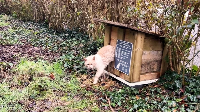 WEB INVITE.00_09_04_19.Still005.jpg