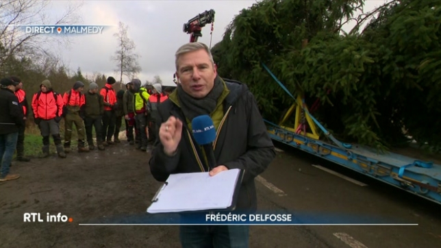 Des élèves en horticulture d'une école de la province de Liège ont coupé ce matin, à Malmedy, le sapin de Noël qui doit orner le palais royal pendant les fêtes. L'opération a été délicate.