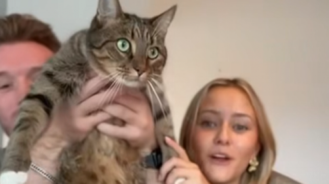 djenoooo en caro.png