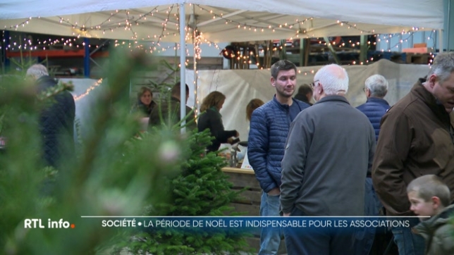 Le sapin solidaire mêle tradition et générosité : vendu au profit d'associations ou refuges, il transforme Noël en un moment de partage et séduit de plus en plus de consommateurs.