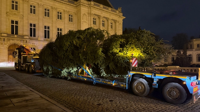 WhatsApp Image 2025-12-08 at 06.17.58.jpeg