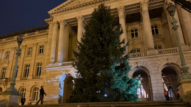 WhatsApp Image 2025-12-08 at 07.14.08 (1).jpeg