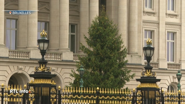 Un épicéa de 14 mètres de haut a été coupé à Malmedy la semaine passée, et dressé ce matin dans le jardin du palais royal.