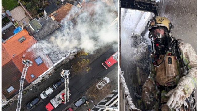 ipiccy_image - 2025-12-09T110020.590.jpg