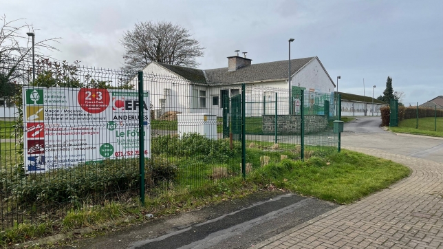 WhatsApp Image 2025-12-10 at 12.31.11.jpeg