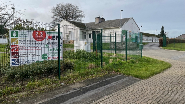 WhatsApp Image 2025-12-10 at 12.31.11.jpeg