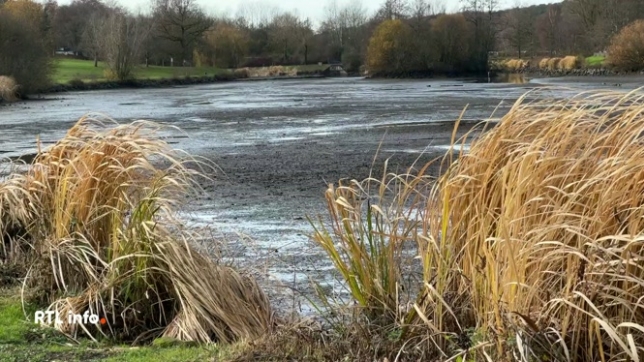 Le 12 novembre dernier, les vannes ont été ouvertes afin de permettre des travaux d'entretien mais surtout d'assainir le lac en permettant à la vase de se minéraliser. L'opération de vidage du lac est réalisée tous les 5 ans. Les poissons ont trouvé refuge dans une zone immergée. Explications.