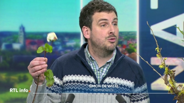 Invité du RTL info 13h., le pépiniériste Simon de Witte évoque les impacts des températures trop douces que nous connaissons actuellement sur la végétation. Certaines plantes ou arbustes sont encore en floraison par exemple.