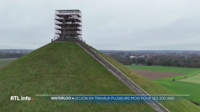 Dans le cadre du bicentenaire de la butte du lion en 2026, la Régie des Bâtiments a débuté des travaux d’entretien et de rénovation de la butte du lion de Waterloo. Le nettoyage de la statue du lion et la restauration des escaliers sont également budgétisés dans le projet.