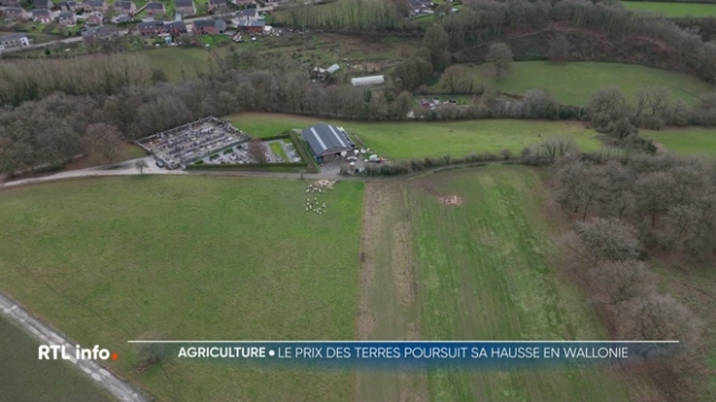Un constat posé par la ministre wallonne de l'Agriculture Anne-Catherine Dalcq qui souhaite apporter des solutions aux agriculteurs qui y font face. L'augmentation du prix des terres agricoles s'explique, en partie, par une forme de spéculation.