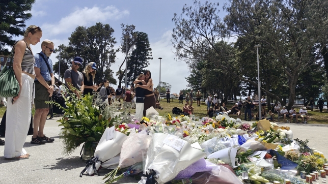 BELGA PHOTO WOUT RENDERS