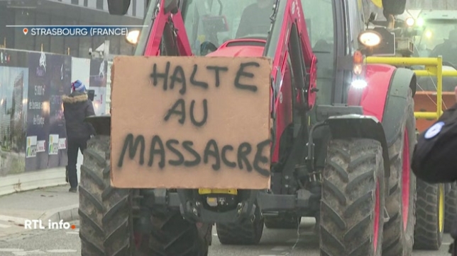 Ce mercredi, les agriculteurs ont bloqué de nombreuses autoroutes pour dénoncer la gestion de l'épidémie de dermatose bovine qui a entraîné l'abattage de 3 000 bêtes.