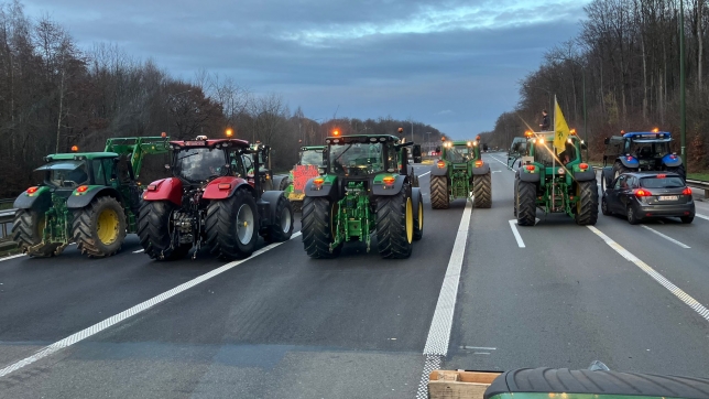 WhatsApp Image 2025-12-18 at 09.11.06.jpeg