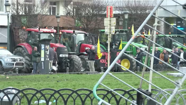 De nombreux agriculteurs se rassemblent dans les rues de Bruxelles ce jeudi pour manifester contre les dernières mesures européennes qui concernent notamment le Mercosur.