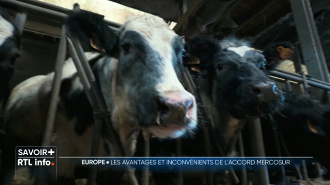 Ce qui cristallise la colère des agriculteurs, c'est donc l’accord Mercorsur, un accord commercial controversé que l’Europe pourrait signer avec 5 pays du continent sud-américain : Bolivie, Argentine, Uruguay, Brésil et Paraguay.
