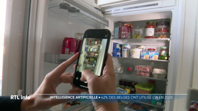 L’IA est partout aujourd'hui et vous êtes déjà nombreux à l'utiliser, parfois même sans le savoir. Une technologie qui a ses avantages, mais aussi ses limites. Où en est-on aujourd’hui et comment fonctionne exactement cette nouvelle forme d'intelligence ?