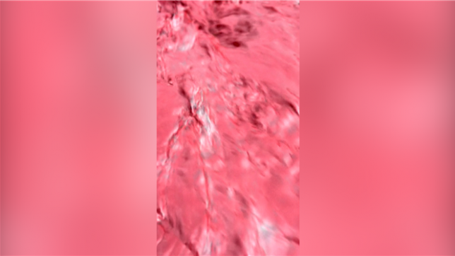 De l’eau de pluie teintée de rouge se déversant dans la mer à Sahel Sorkh (Plage Rouge en persan) sur l’île d’Ormuz, en Iran. Ce phénomène étonnnant provient de la géologie unique de l’île : des sols et des roches volcaniques riches en oxyde de fer, en particulier en hématite. Lors de fortes pluies, le ruissellement transporte ces particules minérales vers le rivage, accentuant la teinte déjà emblématique de la plage.