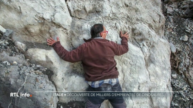 Des centaines de mètres d'empreintes de dinosaures, vieilles de 200 millions d'années, ont été mises au jour dans les Alpes italiennes. Le site est exceptionnel, avec des traces de griffes, d'orteils et des détails anatomiques.