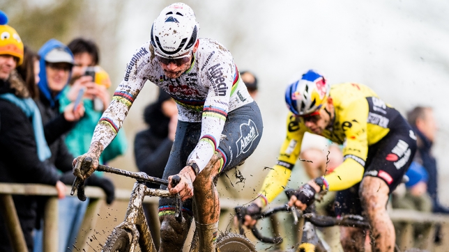 Belgaimage-83375174 copy.jpg