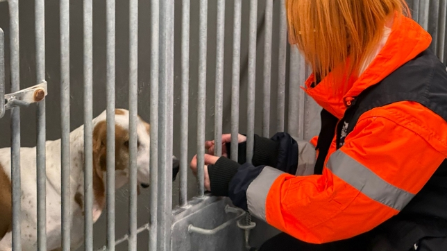 WhatsApp Image 2025-12-23 at 10.01.21.jpeg