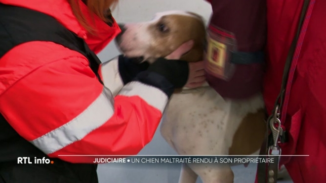 La mobilisation était très importante ce matin pour Ruben, un chien de chasse, qui a été confisqué à son propriétaire pour des soupçons de maltraitance. Le ministre wallon du bien-être animal a ordonné sa restitution. Mais l'association qui avait recueilli le chien est contre cette décision.