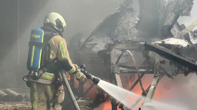 Image d’illustration