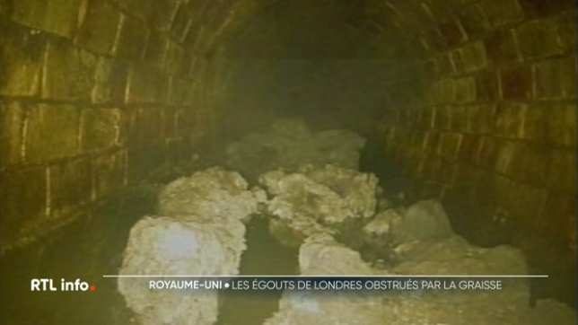 Les autorités londoniennes tirent la sonnette d’alarme : chaque année, des tonnes de graisses issues des repas festifs finissent dans les éviers et toilettes, formant d’énormes blocs appelés “Fatbergs”. Ces amas obstruent les canalisations et coûtent des millions en nettoyage.