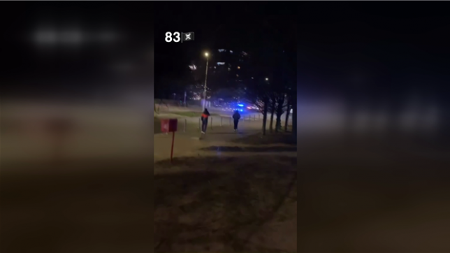 Des lancers de feux d'artifice vers la police à Ganshoren