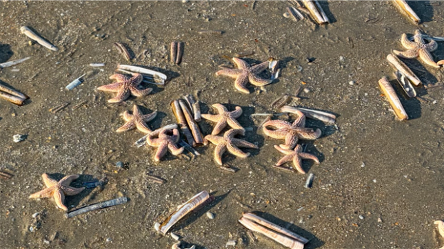 Images envoyées par Jean-Claude Vantilborgh via Alertez-nous.