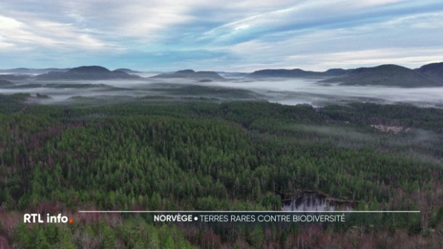 A deux heures de route d'Oslo, Ulefoss repose sur un trésor, le Fensfeltet : 8,8 millions de tonnes de terres rares, des métaux indispensables à la transition énergétique et numérique. Mais les plans de développement du gisement se heurtent aux craintes suscitées par l'impact sur la biodiversité.