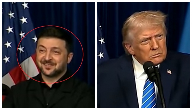 ipiccy_image (1).jpg