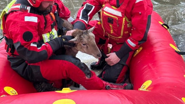 WhatsApp Image 2025-12-31 at 11.00.59 (2).jpeg