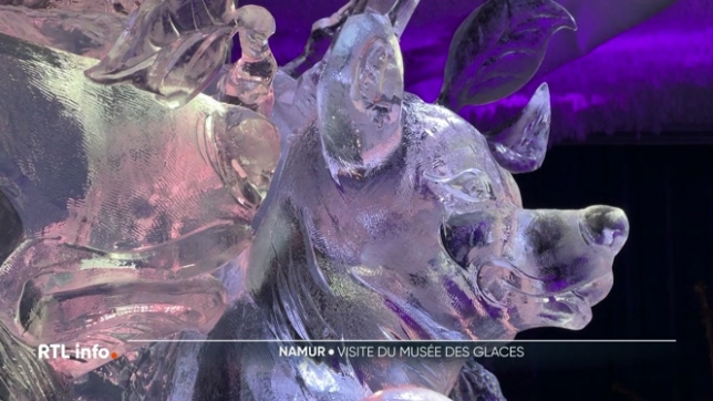 Le froid qui nous accompagne depuis plusieurs jours est aussi l'occasion de découvrir une attraction typique de l'hiver : le Musée des Glaces de Namur. On peut y admirer des sculptures entièrement façonnées dans la glace.