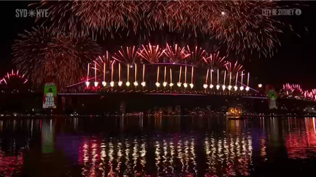 S’il reste encore plusieurs heures avant de vivre le Nouvel An en Belgique, on est déjà en train de faire la fête dans plusieurs régions du monde. C'est notamment le cas pour les Australiens.