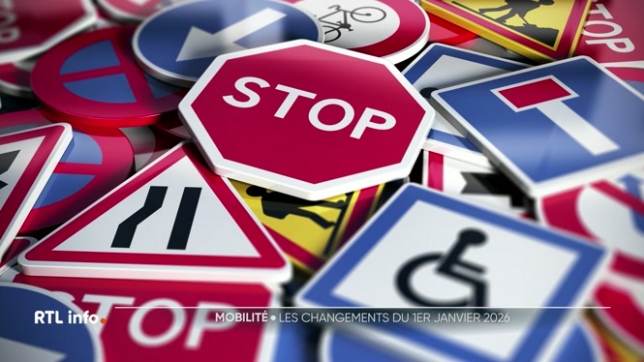 Beaucoup de choses vont changer ce 1er janvier : certains véhicules ne pourront plus circuler à Bruxelles, et en Wallonie, de nouvelles règles entreront également en vigueur concernant le permis de conduire.