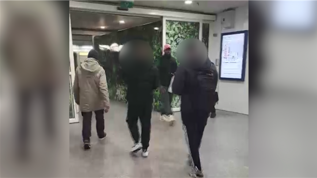 Au début du mois de décembre, le ministre de l’intérieur s’est rendu à la gare du midi pour célébrer le 1er anniversaire de l’ouverture d’un poste de police au sein même de la gare. À cette occasion, les autorités ont dressé un bilan positif : la criminalité et les plaintes liées aux faits commis dans la gare auraient baissé de 20 à 25 %. Notre journaliste a passé une journée au sein de la gare, en ne prévenant aucun service de presse ou de communication pour avoir une vision réelle de la situation.