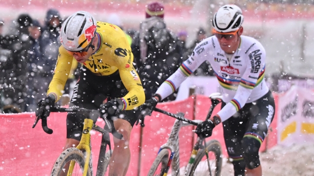 Belgaimage-153039610 copy.jpg