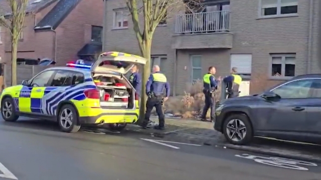 f434cabf-562b-4518-a579-fc0e6bc9159e.jfif