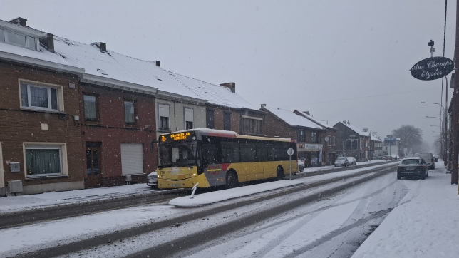 c595904b-e5cb-2693-9fe4-884c5573a250-20260105_152908 (1).jpg