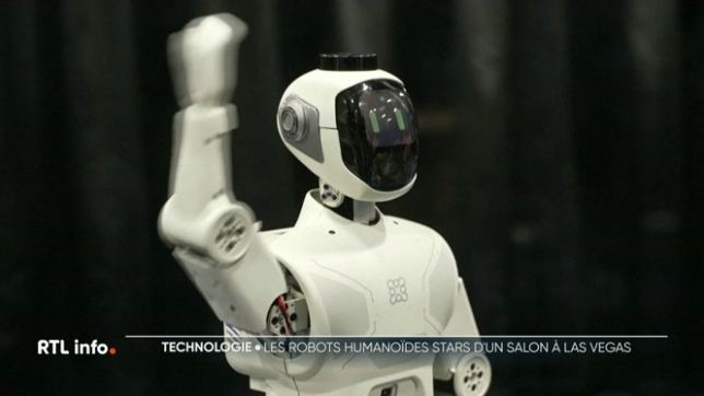 Avec les avancées de l'intelligence artificielle, les géants de l’électronique préparent désormais leur commercialisation. Plusieurs prototypes ont été présentés au CES, le grand salon mondial de la technologie qui se tient actuellement à Las Vegas.