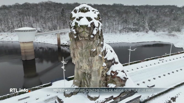 La Belgique a été partiellement paralysée par la neige aujourd'hui. Les averses ont recouvert une bonne partie du pays depuis ce matin. Florilège d’images...