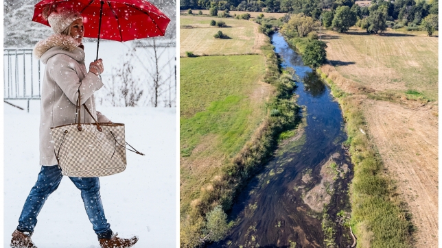 ipiccy_image - 2026-01-08T170020.139.jpg